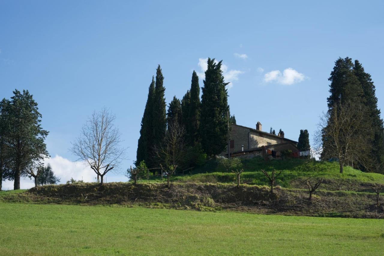 Agriturismo Il Caio Cetona Exteriér fotografie
