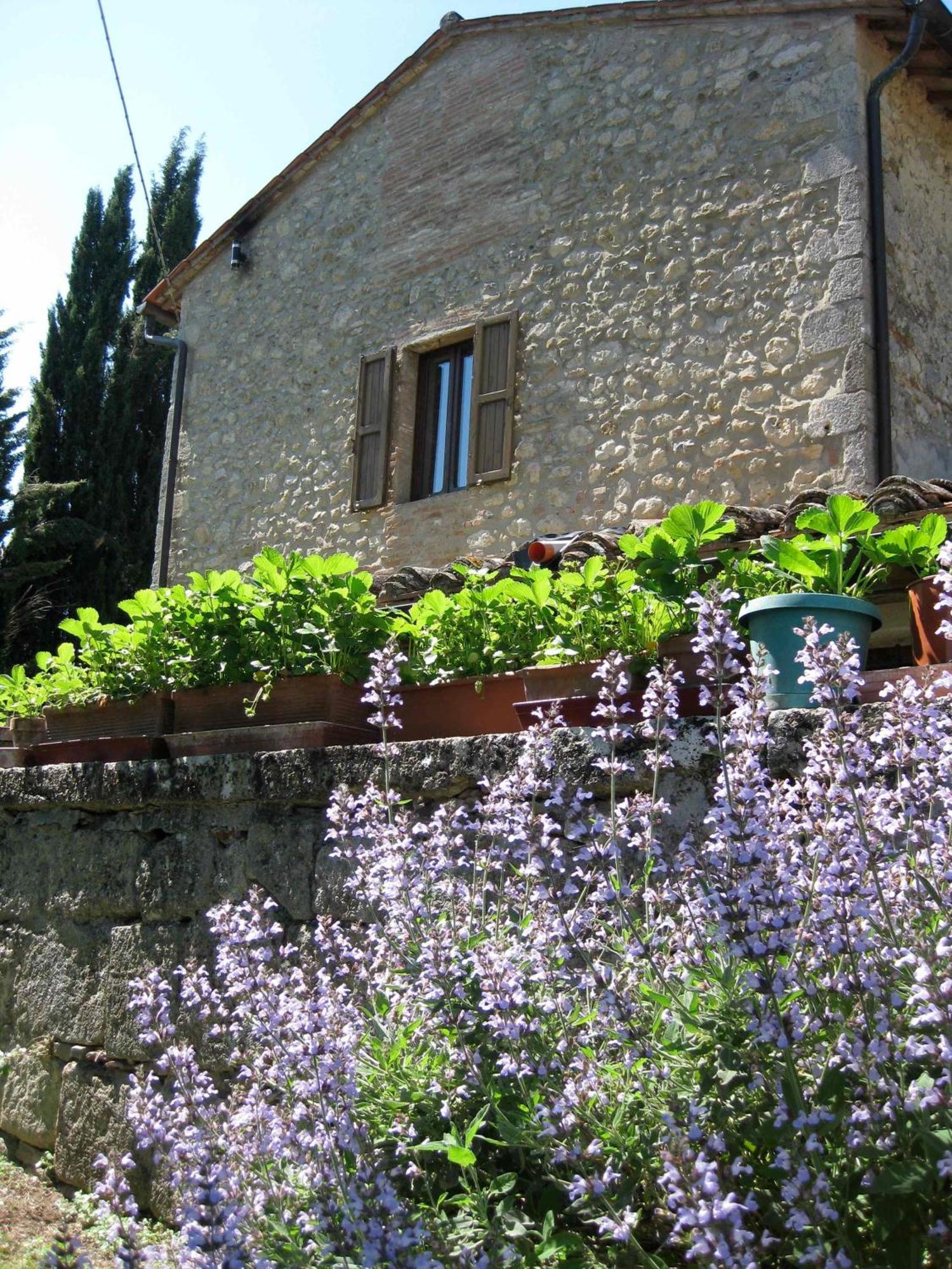 Agriturismo Il Caio Cetona Exteriér fotografie