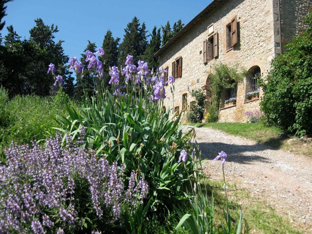 Agriturismo Il Caio Cetona Exteriér fotografie