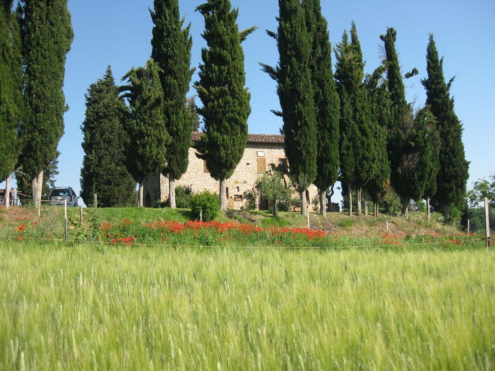 Agriturismo Il Caio Cetona Exteriér fotografie
